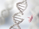 Междисциплинарный Круглый стол «Нормативные проблемы развития генетических технологий», 9 июля 2020 г.